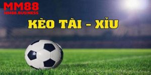 Vài điều cần biết về kèo tài xỉu trong cá cược bóng đá